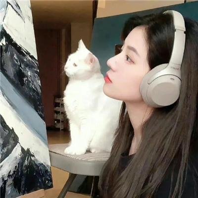 七载霜华：我于风雪中绽放